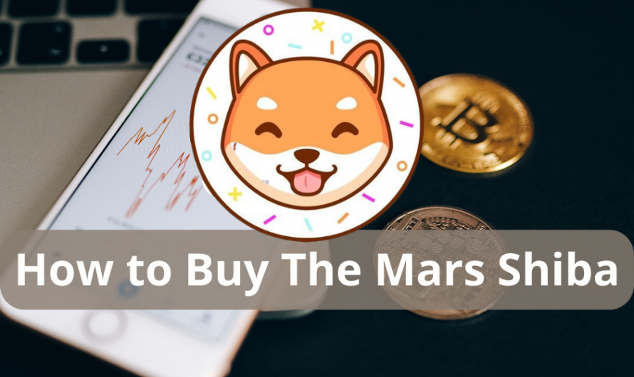 How to Buy The Mars Shiba