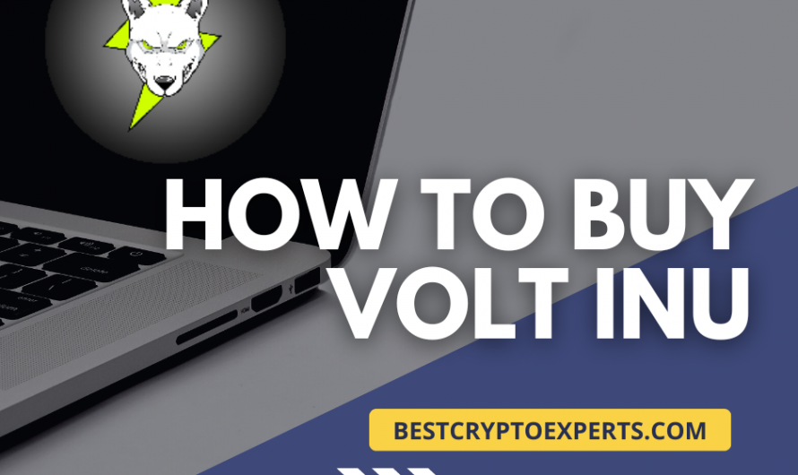 How to Buy Volt Inu