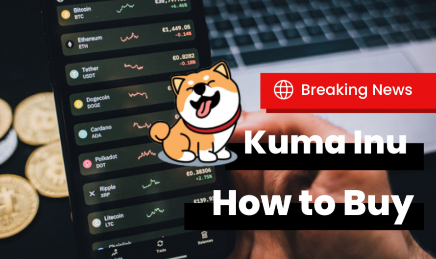 Kuma Inu How to Buy