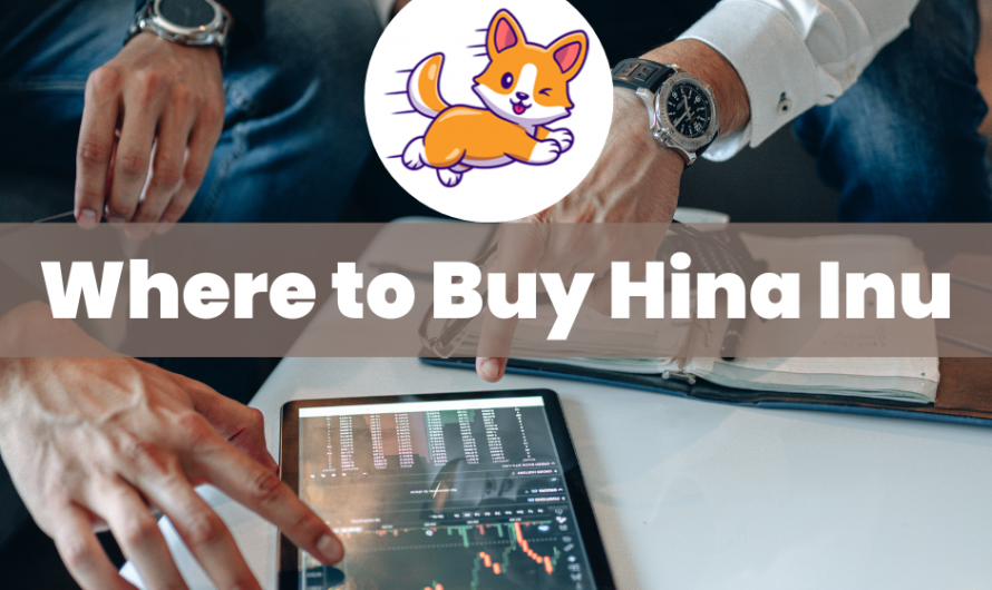 Where to Buy Hina Inu