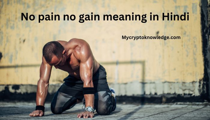 No pain no gain meaning in Hindi