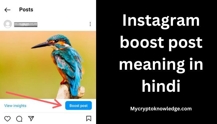 Instagram boost post meaning in hindi – Instagram boost post ka मतलब क्या होता है ?